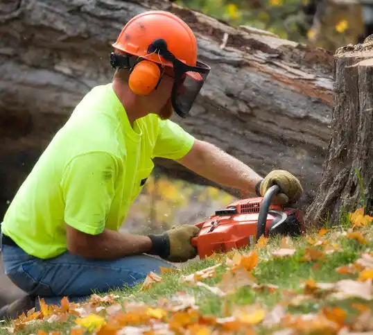 tree services Keedysville